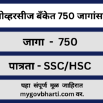 IOB Apprentice Bharti 2025
